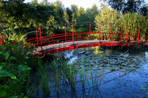 Waterlilly Bridge