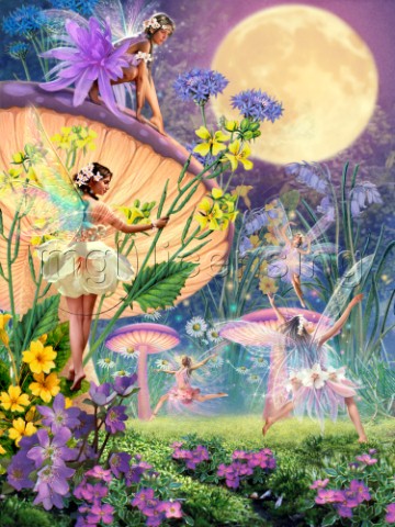 Fairy ring  Twilight dancers