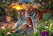 Hidden Images - Tigers