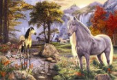 Hidden Images - Horses