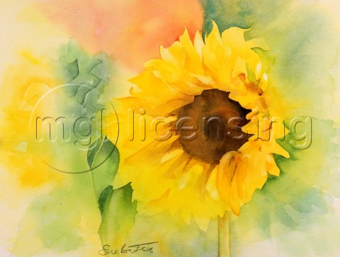 Gentle Sunflower