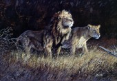 Lions (NPI 968)