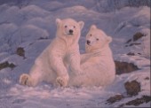 Untamed spirits Polar Bear (NPI 982)