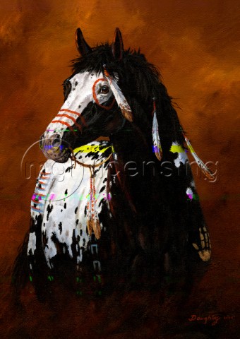 Sioux war pony NPI 19002