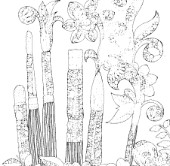 brushes (Variant 1).jpg