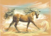 Horse Akal-teke.jpg
