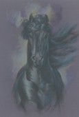 Friesian Horse.jpg