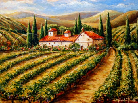 Toscana vineyard