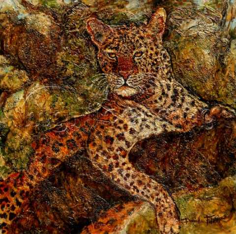 Leopard siesta