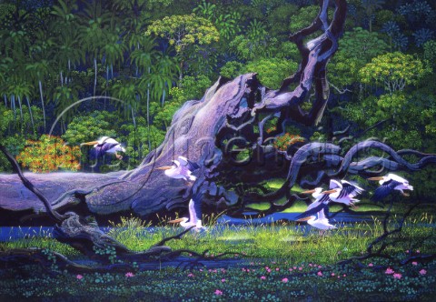 Pelicans in the forest