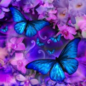 Blue Violet Morpheus