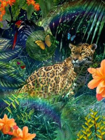 Jaguar Meadow