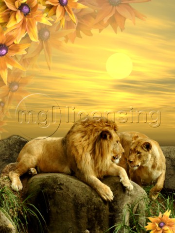 Lions In Love