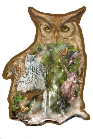 Owl Variant 1