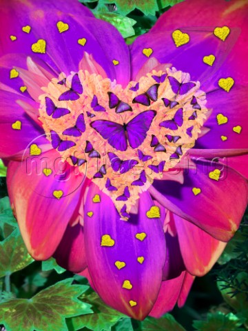 Radiant Butterfly Heart