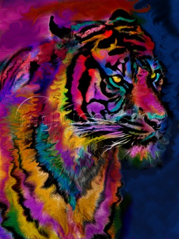 Rainbow Tiger Variation 1