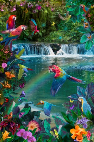 Waterfall Parrots