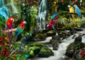 Parrot Colombian Mossy Fairyfalls