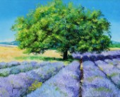 Tree and Lavenders