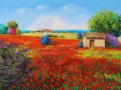Shed Among Poppies