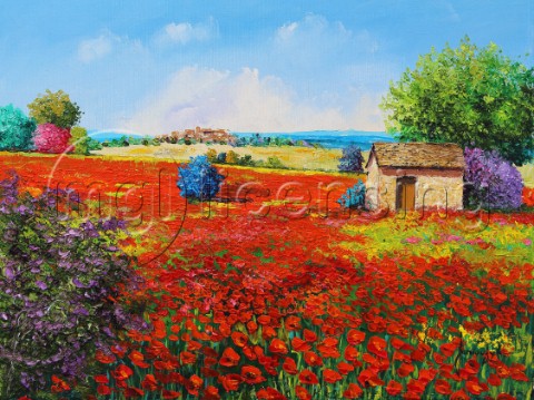 Shed Among Poppies