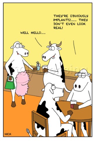 Cow Implants
