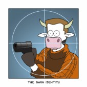 The Barn Identity