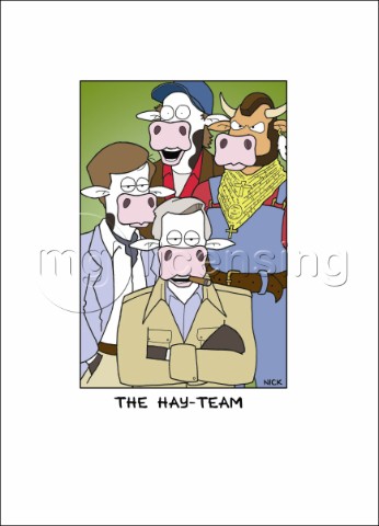 The Hay Team