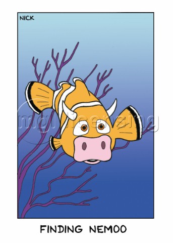 Finding Nemoo