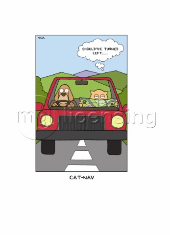 Cats and Dogs  CatNav copy