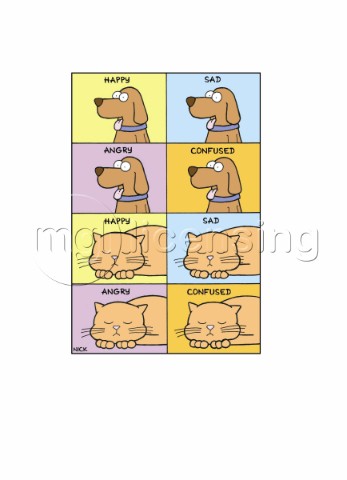 Cats and Dogs  Emotions