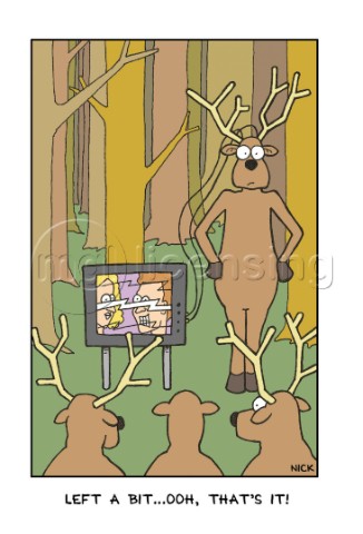 Deer Antena