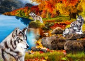 Wolves in Autumn Forest