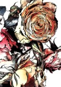 Roses graphic abstract image.
