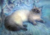 Cat Blue Background
