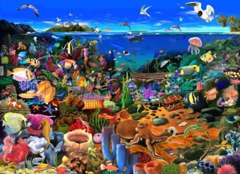 Amazing Coral Reef