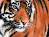 Siberian tiger oil painting
