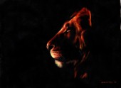 Lion Head Twilight