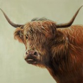 Highland Cow.jpg
