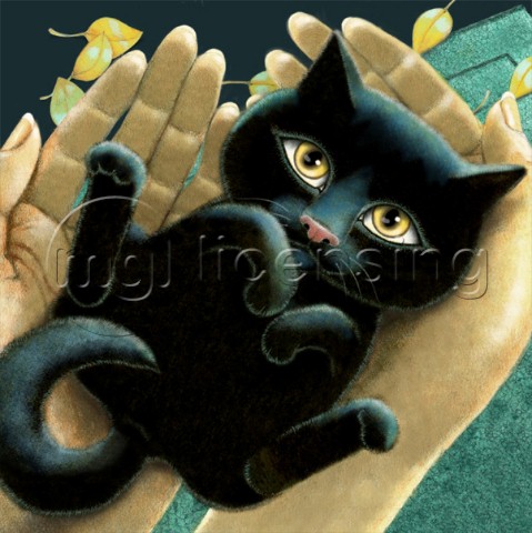 kitten in hands upclose