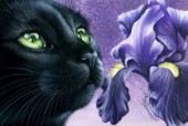 Purple iris.jpg