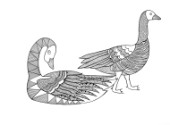 Neeti-Bird-GooseGeese