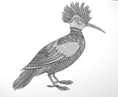 Neeti-Bird-Hoopoe