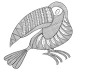 Neeti-Bird-Kakatua