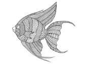 Neeti-Sea-AngelFish