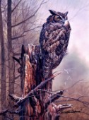 great horned owl cps197