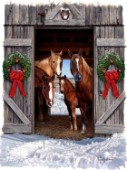 horses in barn door