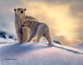 Arctic Dawn Polar Bears cps325