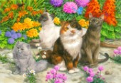 Floral Cats