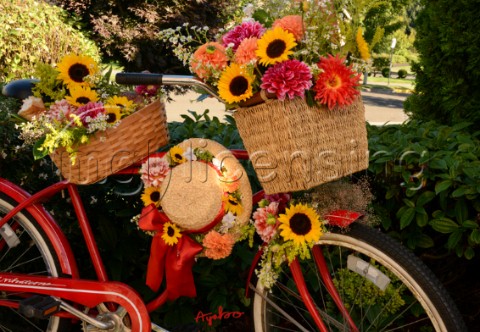 2411Autumn Bouquet on Red Bicycle